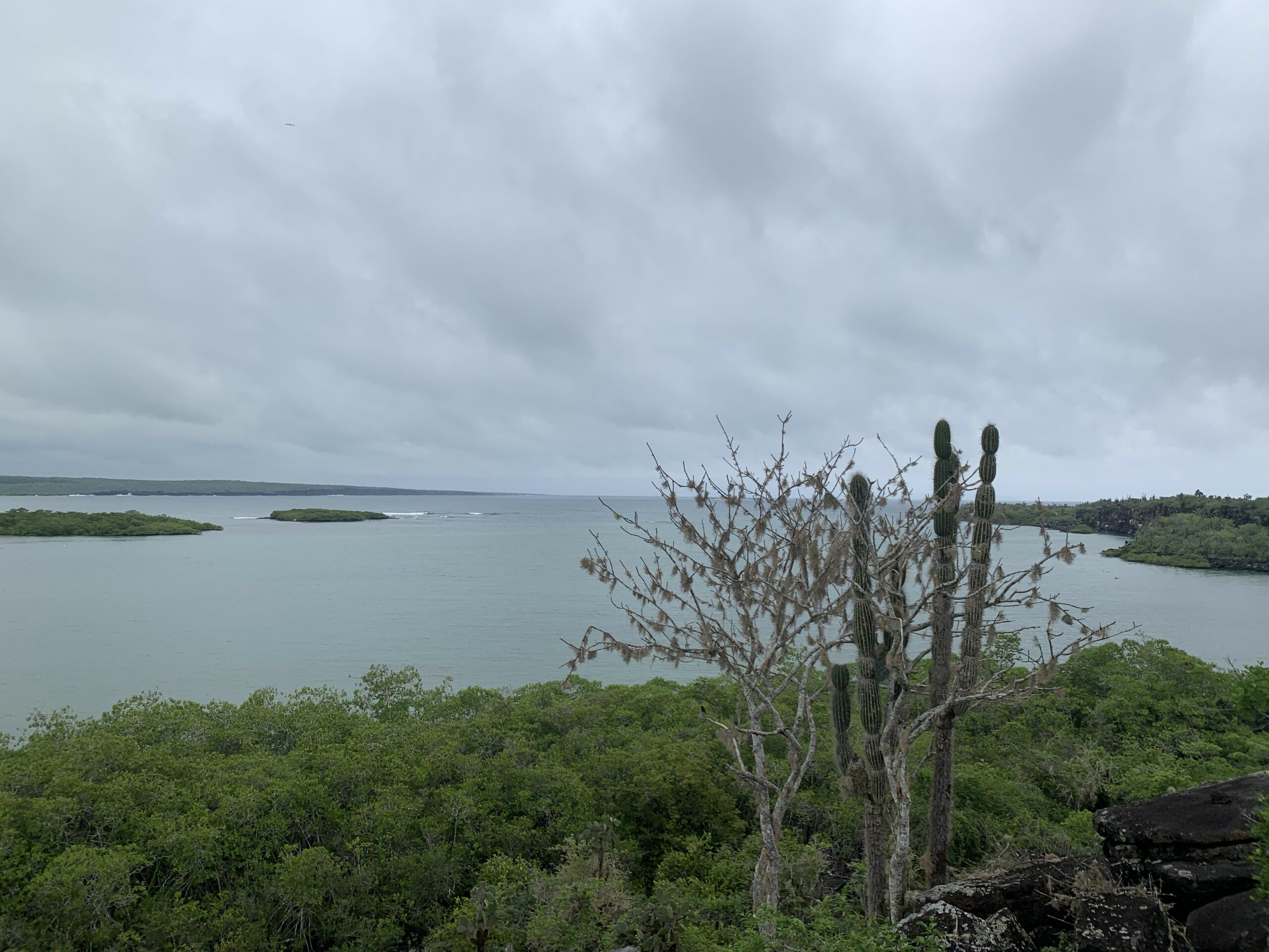 Blick auf das Meer auf Galapagos